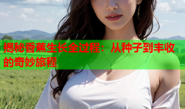 揭秘香蕉生长全过程：从种子到丰收的奇妙旅程