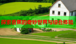 探索香蕉的奇妙世界与综合体验