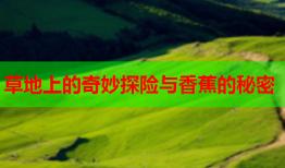 草地上的奇妙探险与香蕉的秘密