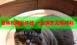 香蕉视频新体验 一起探索无限精彩