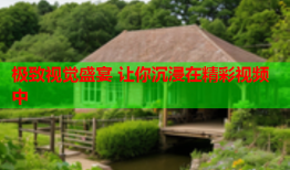 极致视觉盛宴 让你沉浸在精彩视频中