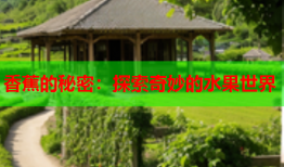 香蕉的秘密：探索奇妙的水果世界