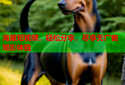 海量短视频，轻松分享，尽享无广告观影体验