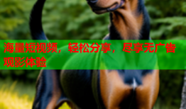 海量短视频，轻松分享，尽享无广告观影体验