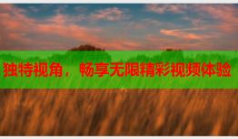 独特视角，畅享无限精彩视频体验
