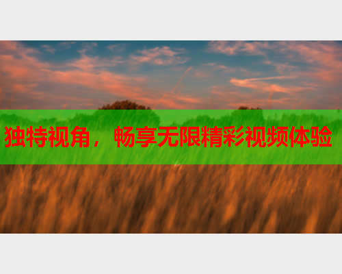 独特视角，畅享无限精彩视频体验