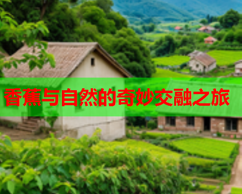香蕉与自然的奇妙交融之旅