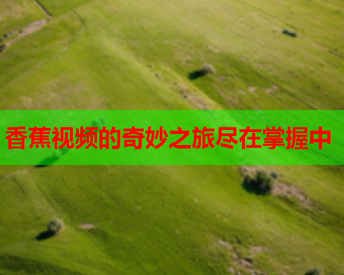 香蕉视频的奇妙之旅尽在掌握中