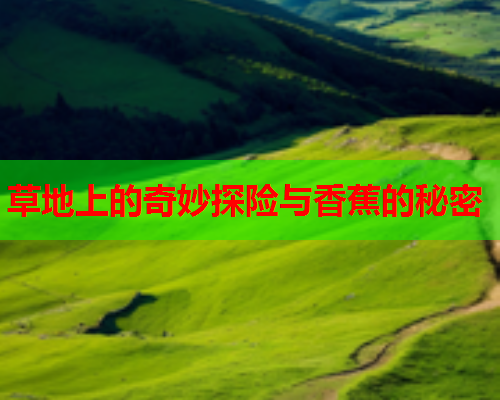 草地上的奇妙探险与香蕉的秘密