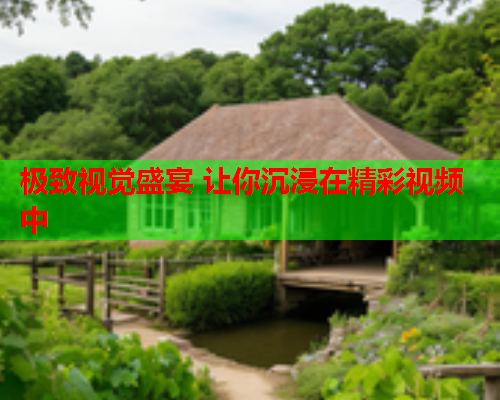 极致视觉盛宴 让你沉浸在精彩视频中