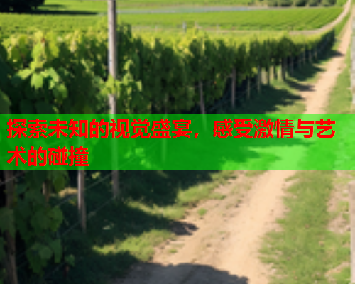 探索未知的视觉盛宴，感受激情与艺术的碰撞