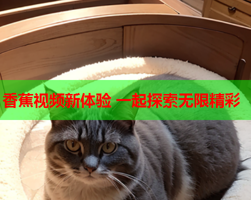 香蕉视频新体验 一起探索无限精彩