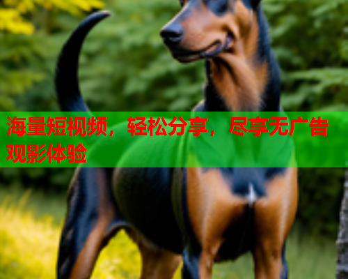 海量短视频，轻松分享，尽享无广告观影体验