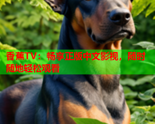 香蕉TV：畅享正版中文影视，随时随地轻松观看